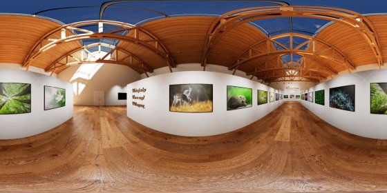 Play 'VR 360° - Heimat im Glanz von Licht und Farben