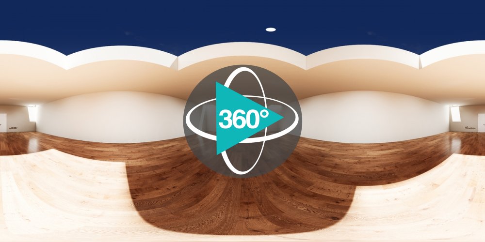 Play 'VR 360° - Haarpracht